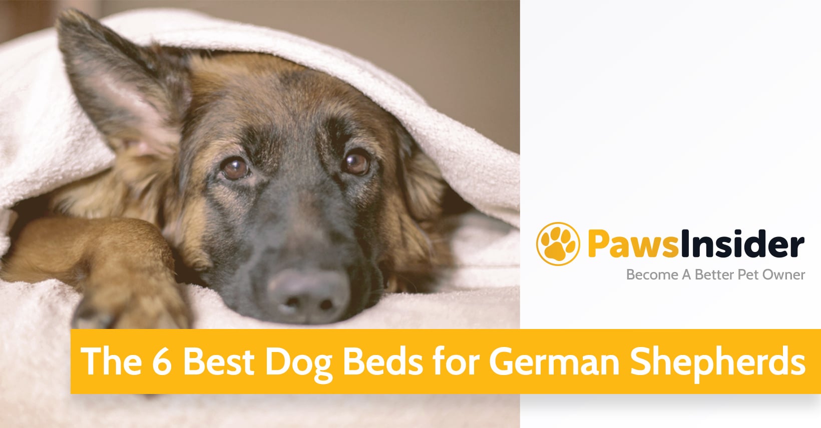 The 6 Best Dog Beds For German Shepherds (2024 Edition)