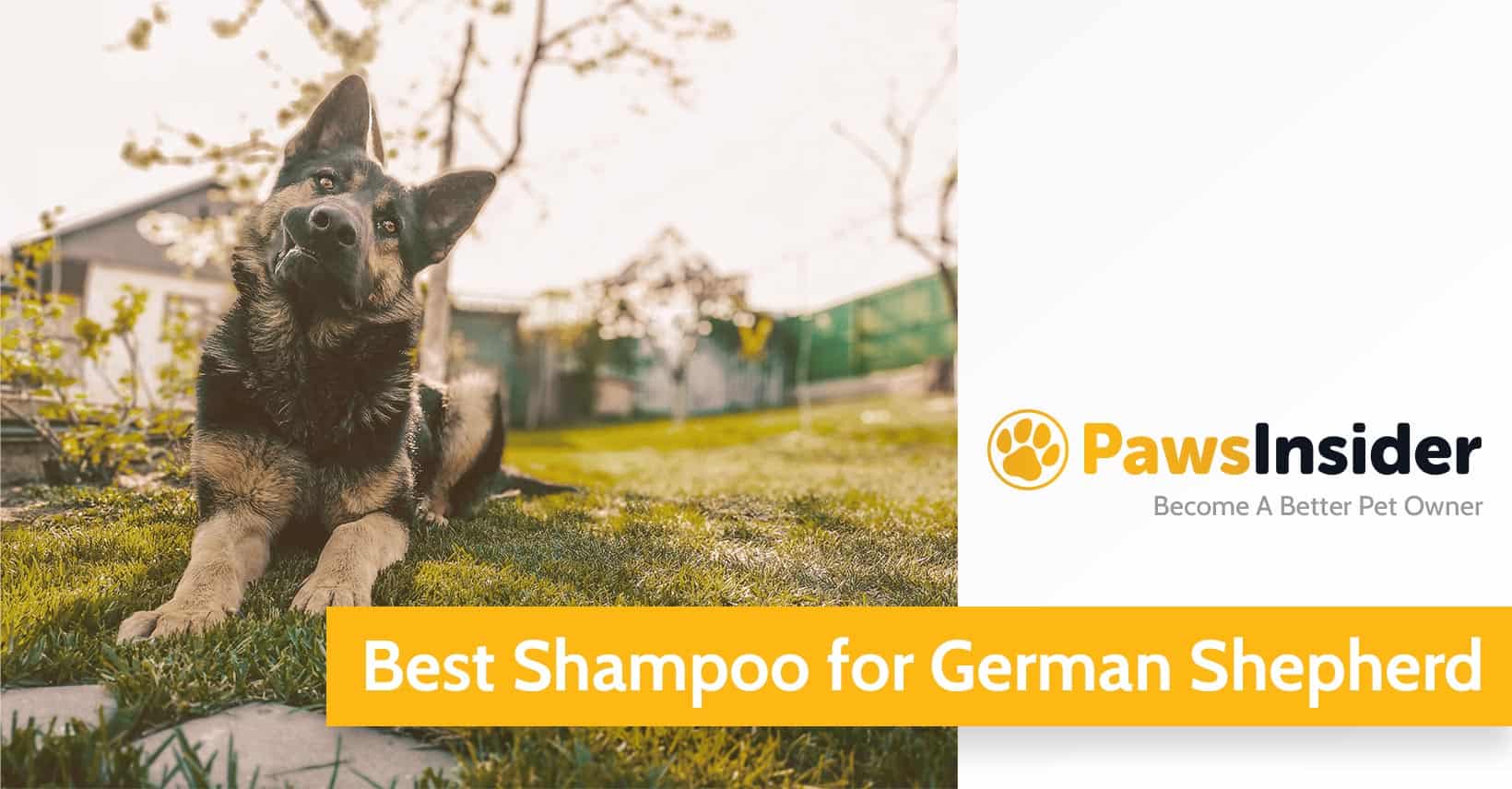 Best Shampoo For German Shepherd Top 4 Picks For 2024