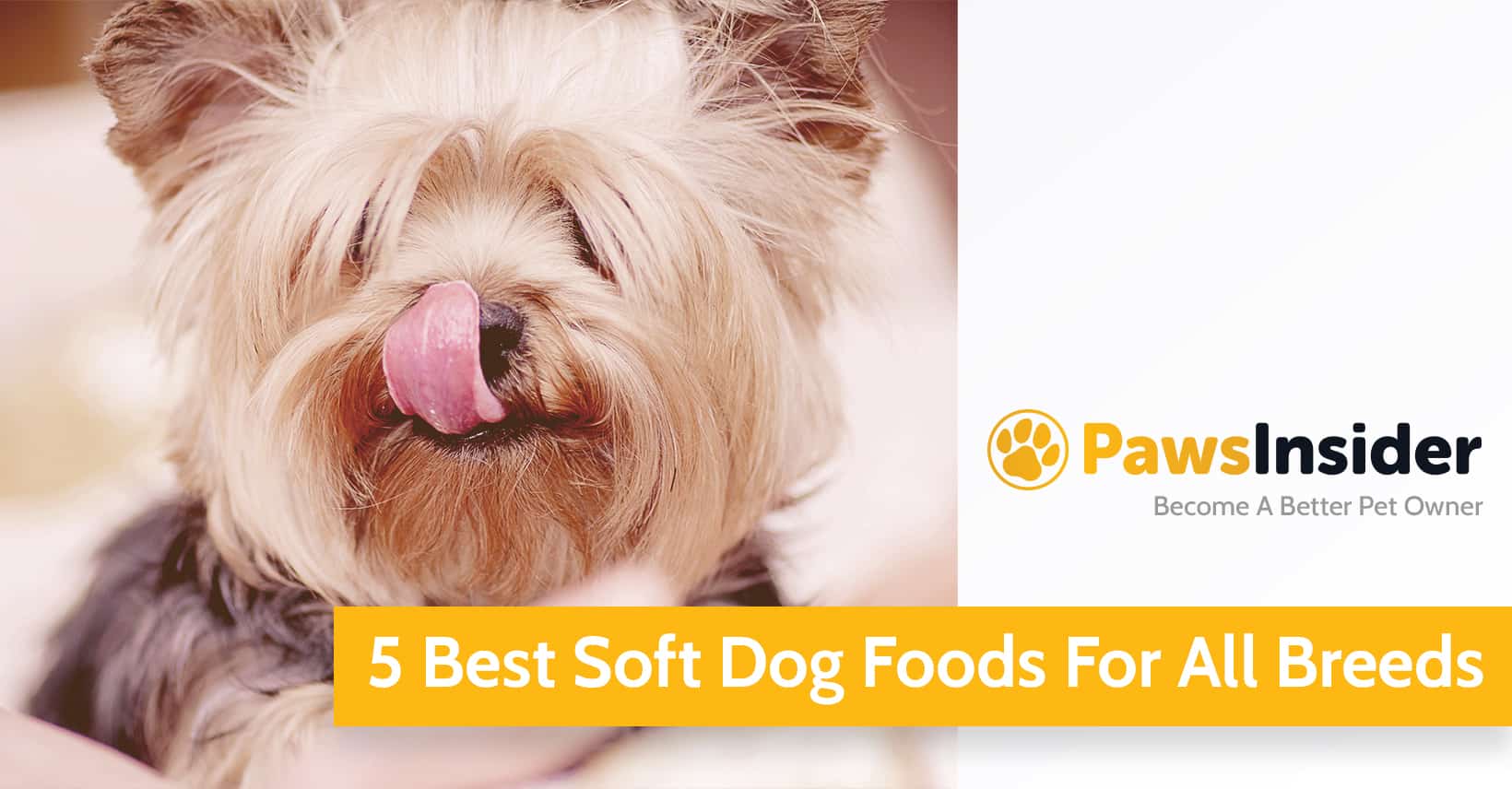 Best Soft Dog Food For Small Dogs With No Teeth 5 Best Soft Dog Foods For All Breeds (2022 Edition)