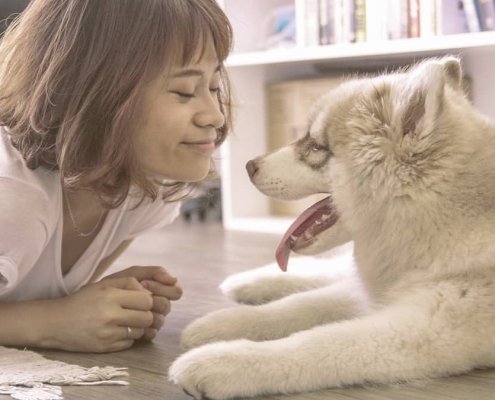 girl smiling to the fluffy dog