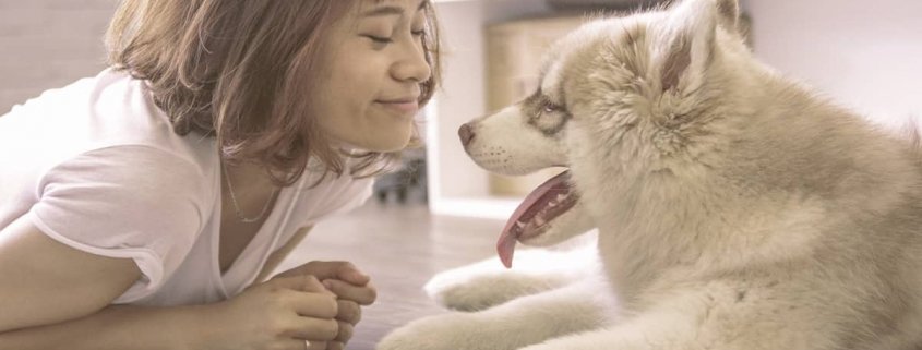 girl smiling to the fluffy dog