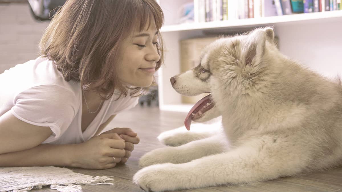 girl smiling to the fluffy dog