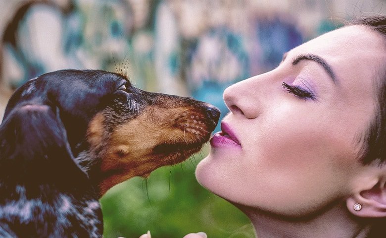 tenderness dachshund and owner