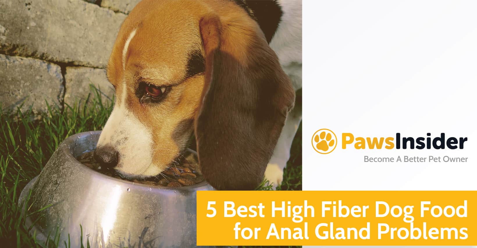 5 Best High Fiber Dog Food For Anal Gland Problems In 2025