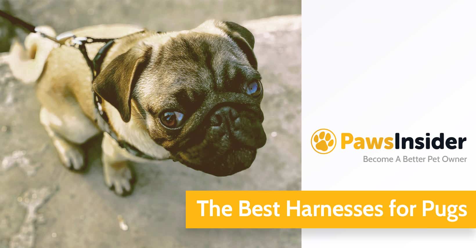 harnesses for pugs