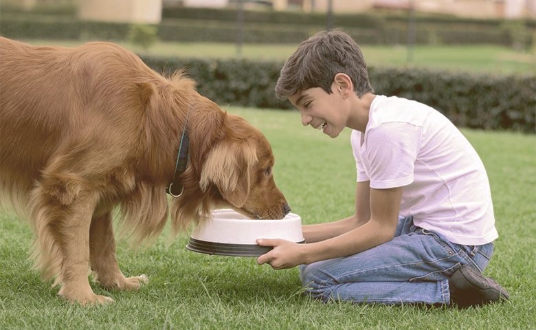 kid giving food to the dog