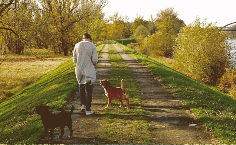 Your heart health could improve. women walking in the countryside with her dogs