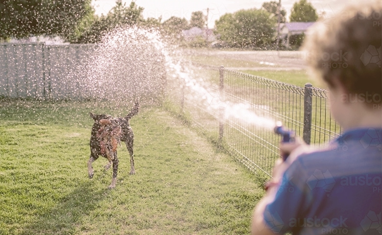 boy sprinkle dog with water boy sprinkle dog with water