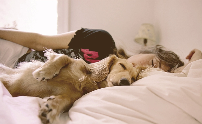 dog sleeps in bed with women