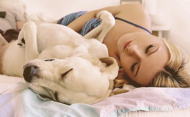 dog sleeps in bed with women