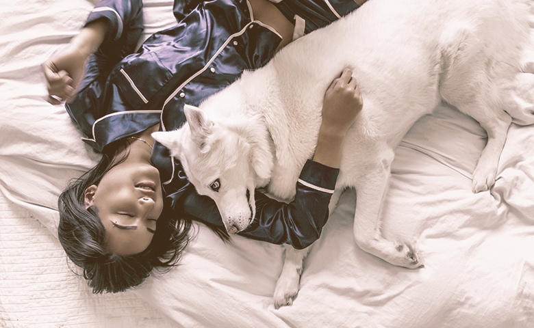 dog sleeps in bed with women dog sleeps in bed with women