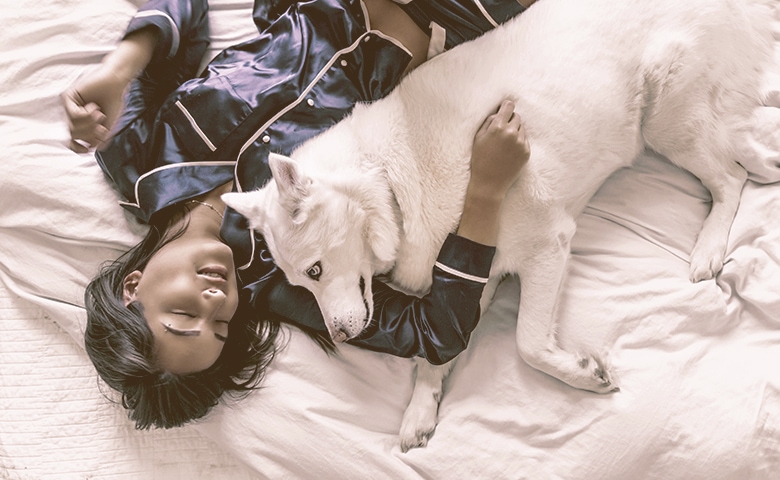 dog sleeps in bed with women