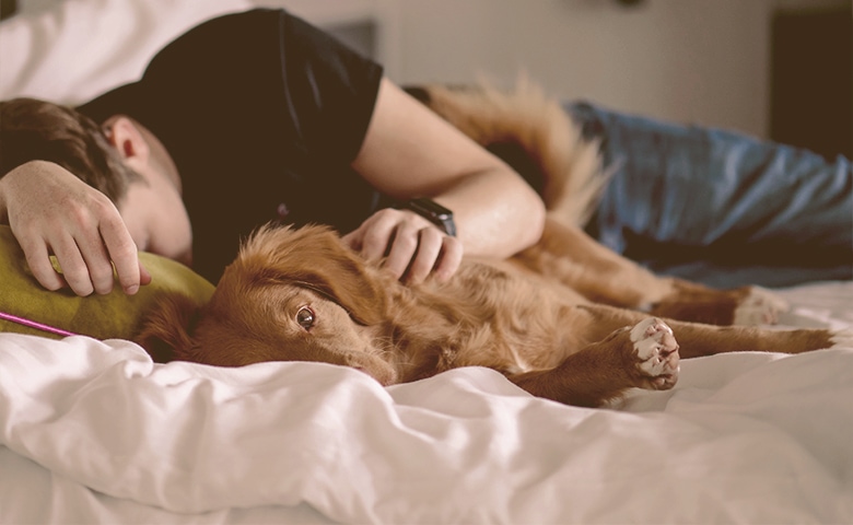 laying in bed with my dog laying in bed with my dog