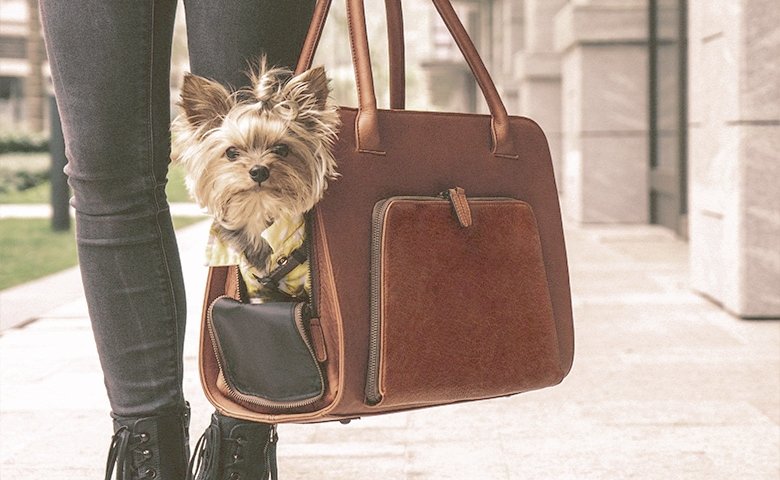 Toy small dog inside a woman purse