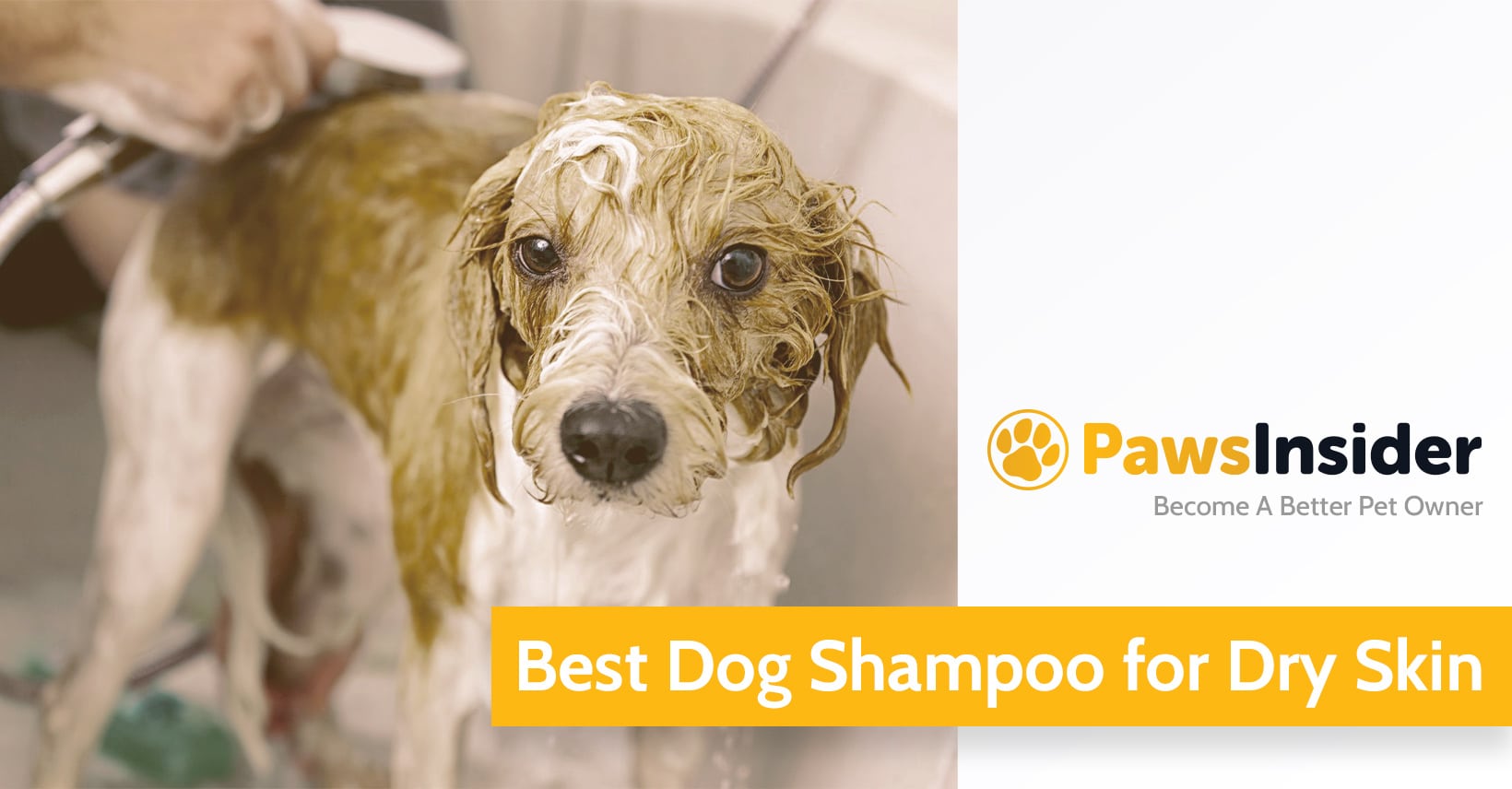 5 Best Dog Shampoos For Dry, Flaky & Itchy Skin [2024 Edition] // Paws