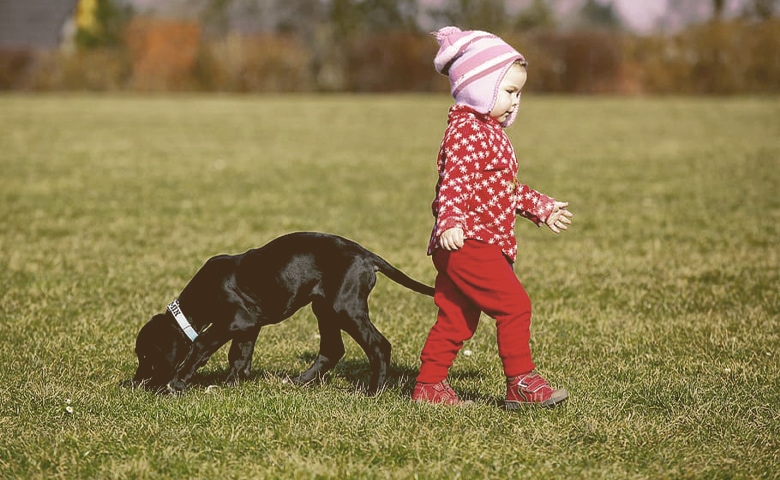 child with puppy