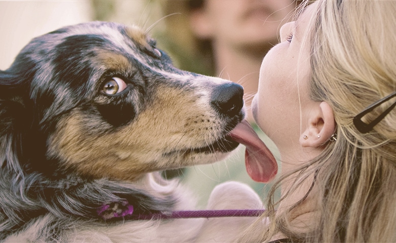 dog licking women face