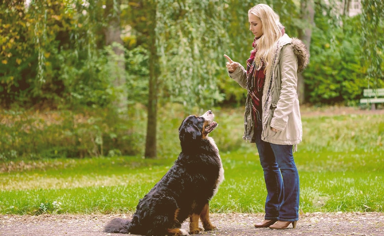 girl hand signal her dog girl hand signal her dog