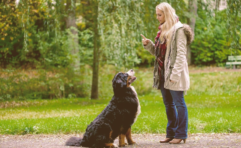 girl hand signal her dog