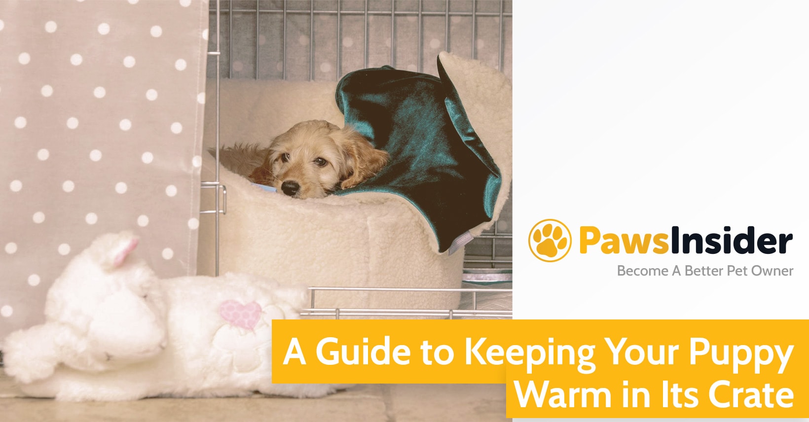 My Top Tips For Puppy's First Nights At New Home My Puppy Whines At