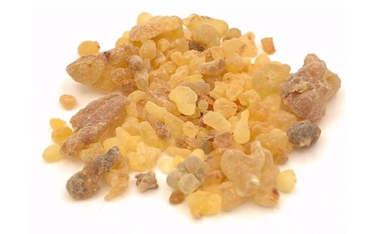 Boswellia Boswellia