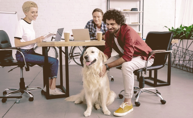 Dog with owner at work