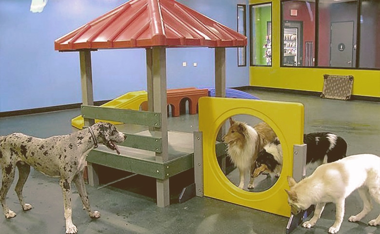 Doggy Daycare