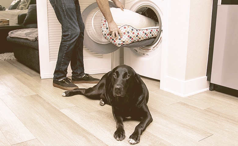 Washable dog bed being put in the washing machine while dog lies on the floor