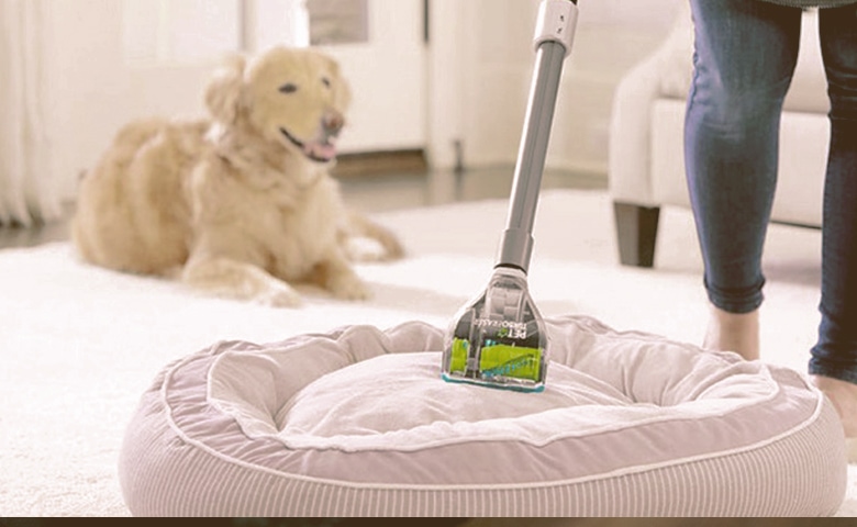 cleaning dog bed Dog looks as owner vacuums dog bed covers