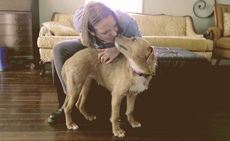 dog being petted by owner dog being petted by owner