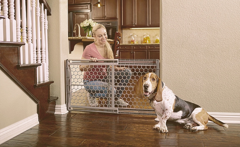 owner next a Dog Gate looking at her dog