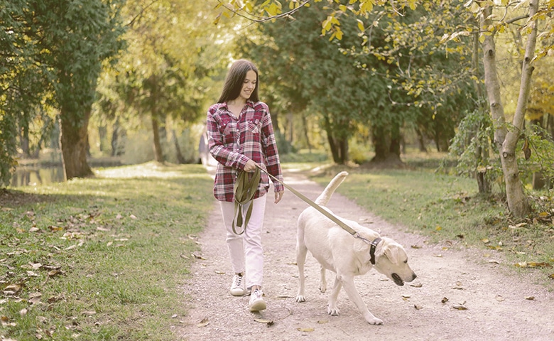 Walking the dog Walking the dog