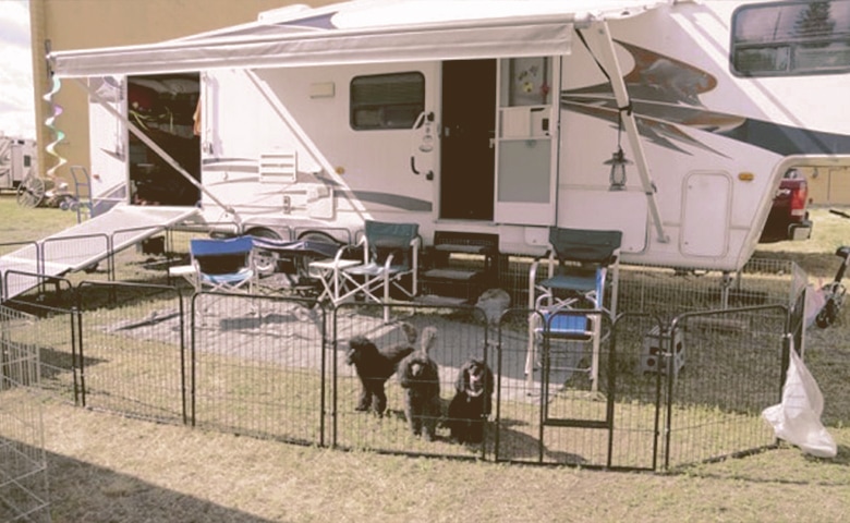 dog fence for rv dog fence for rv