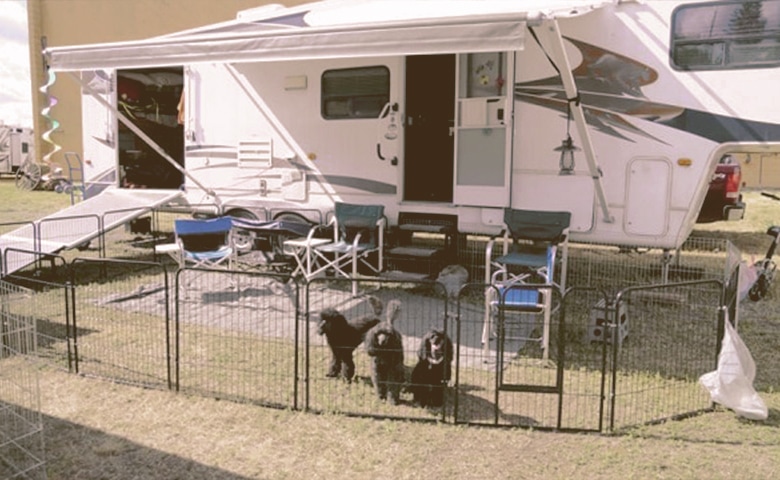 dog fence for rv