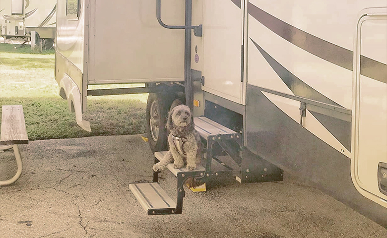dog next to rv dog next to rv