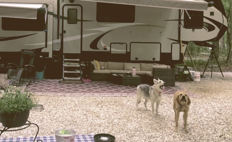 dogs outside next to rv dogs outside next to rv