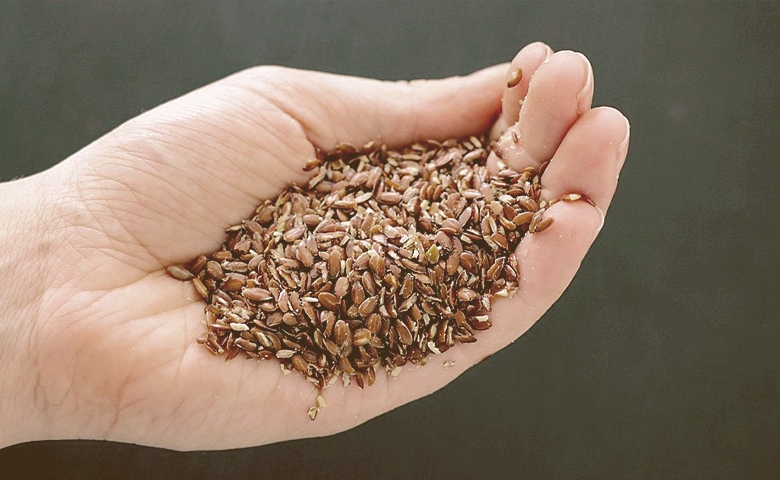 flaxseed oil seeds