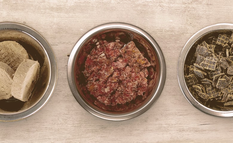 food for dogs food for dogs