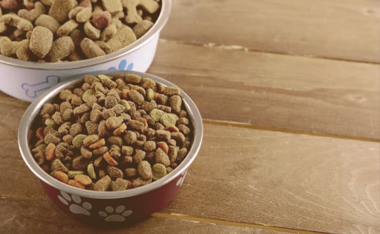 two dog food bowls two dog food bowls