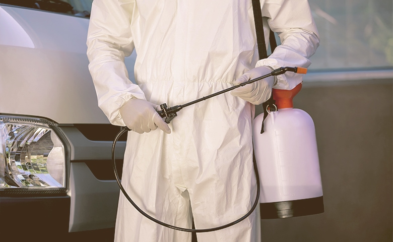Pest Control Pest Control