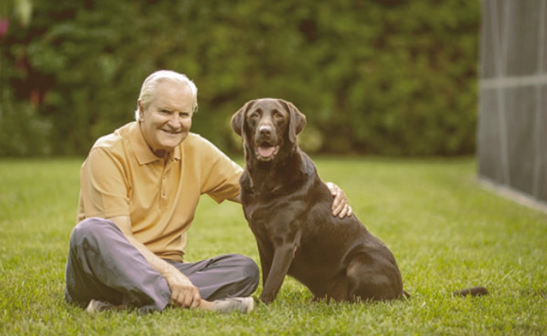 old dog sitting on the grass with owner old dog sitting on the grass with owner