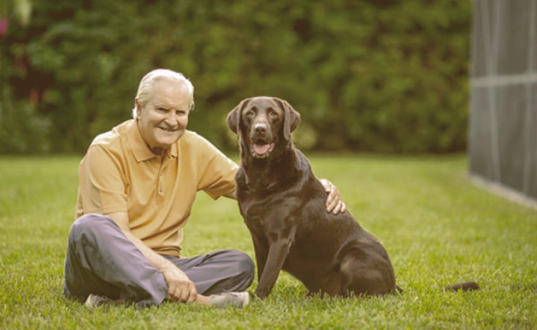 old dog sitting on the grass with owner