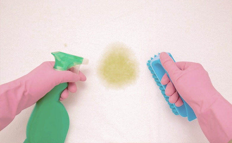 Person with gloves holding stain remover and brush to remove stain