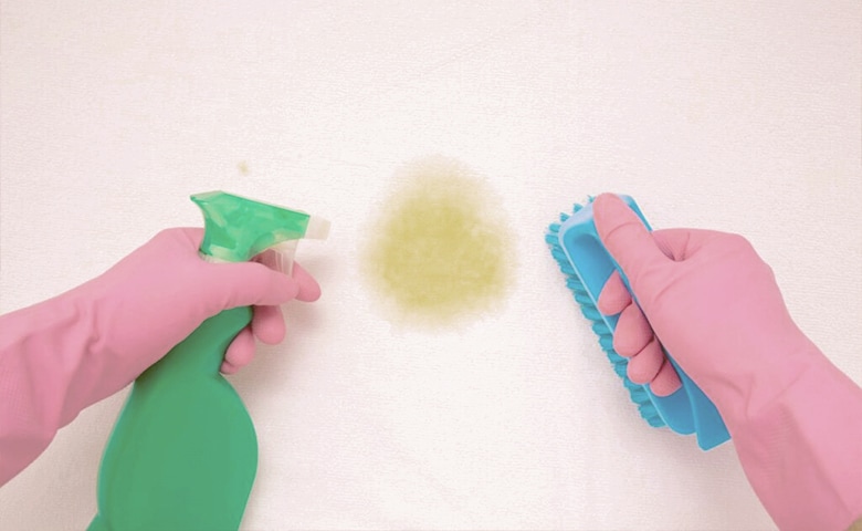Washing Dog Bed Person with gloves holding stain remover and brush to remove stain