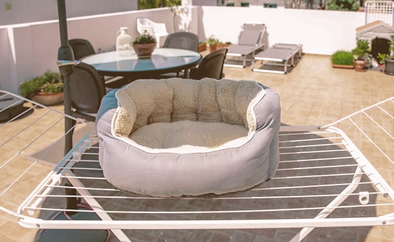 Clean dog bed air drying on rack in the sun