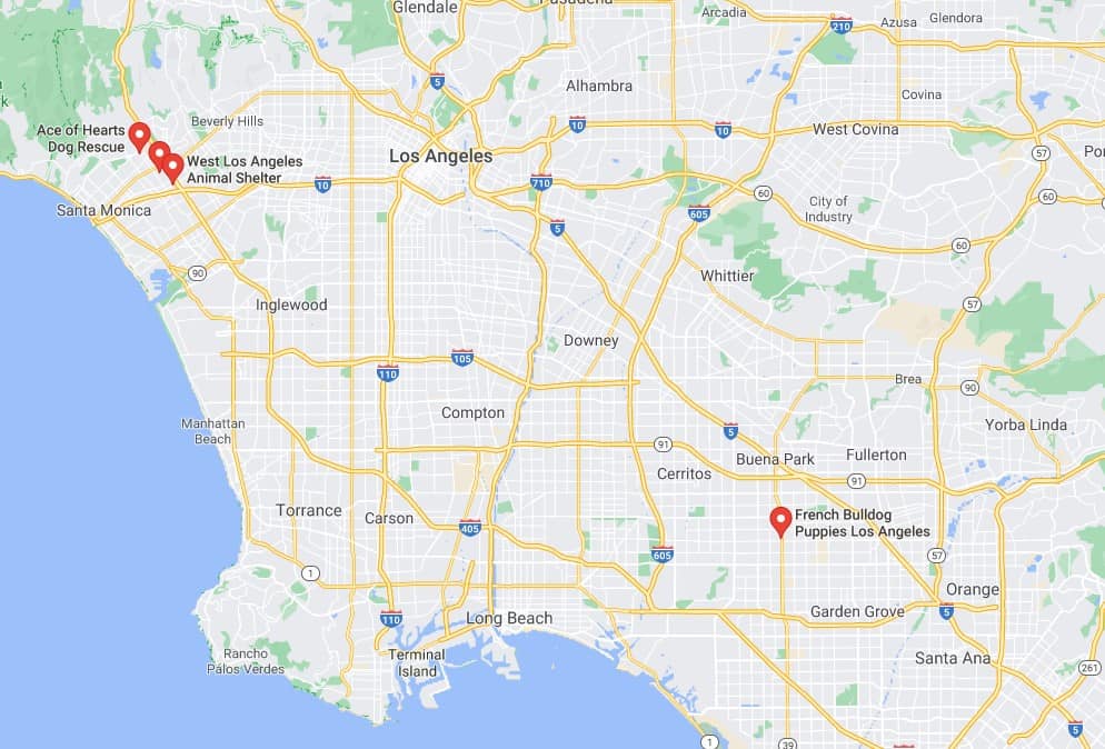 Map with multiple french bulldog rescue centers in Los Angeles