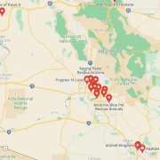 Screenshot of a map in GoogLe Maps of french bulldog rescue centers and breeders in Arizona, United States