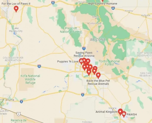 Screenshot of a map in GoogLe Maps of french bulldog rescue centers and breeders in Arizona, United States