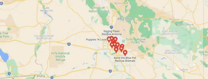 Screenshot of a map in GoogLe Maps of french bulldog rescue centers and breeders in Arizona, United States