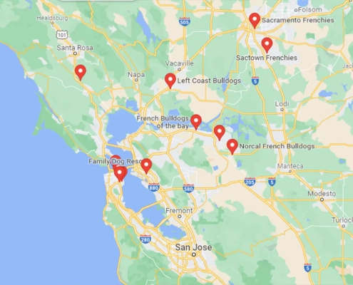 Screenshot of a map in GoogLe Maps of french bulldog rescue centers and breeders in San Francisco, United States